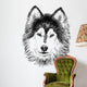 portrait of husky Wall Decal