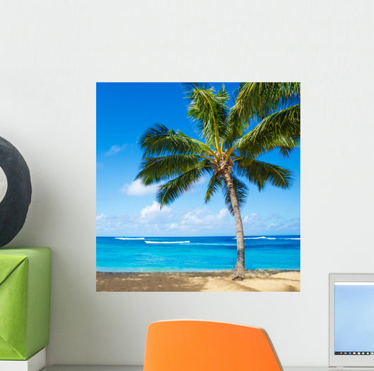 Palm Trees Sandy Beach
