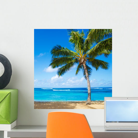 Palm Trees Sandy Beach