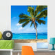 Palm Trees Sandy Beach