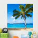 Palm Trees Sandy Beach