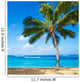 Palm Trees Sandy Beach