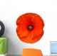 red poppy flower Wall Decal
