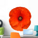 red poppy flower Wall Decal