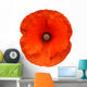 red poppy flower Wall Decal