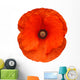 red poppy flower Wall Decal
