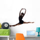 Female Ballet Dancer