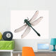 Dragonfly Wall Decal
