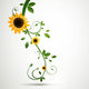 Vector Nature Background With Sunflowers Wall Mural