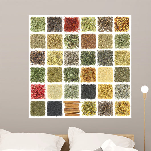 Large Collection Herbs and