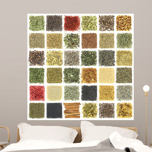 Large Collection Herbs and