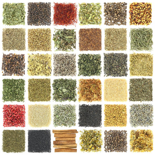 Large Collection Herbs and