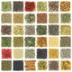 Large Collection Herbs and