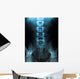 x-ray of a young male spine Wall Mural
