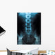 x-ray of a young male spine Wall Mural