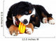 Puppy Bernese Mountain Dog