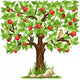 Apple Tree