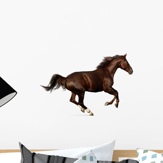 Gallop Horse Wall Decal