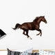 Gallop Horse Wall Decal