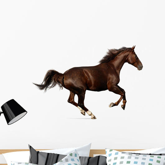 Gallop Horse Wall Decal