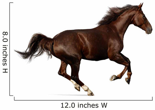 Gallop Horse Wall Decal