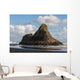 Tourist Admiring Panatahi Island Wall Decal