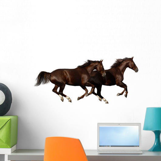 Gallop Horses Wall Decal