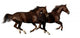 Gallop Horses Wall Decal
