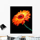 african daisy.  carving. orange Wall Mural