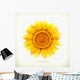 Sunflower High Quality Vector