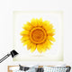 Sunflower High Quality Vector