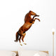 Sorrel Mare - the Budenny Horse Wall Decal