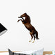 Sorrel Mare - the Budenny Horse Wall Decal
