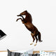 Sorrel Mare - the Budenny Horse Wall Decal