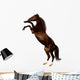 Sorrel Mare - the Budenny Horse Wall Decal