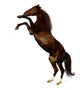 Sorrel Mare - the Budenny Horse Wall Decal
