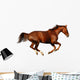 Sorrel Horse Wall Decal
