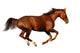 Sorrel Horse Wall Decal