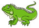 Cartoon Iguana Lizard Wall Decal