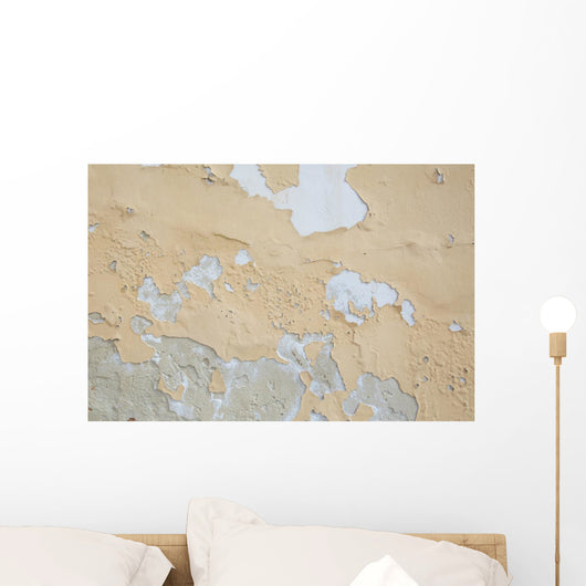 Peeling wall Wall Mural