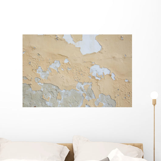 Peeling wall Wall Mural