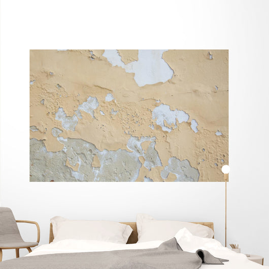 Peeling wall Wall Mural