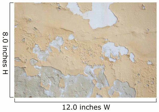 Peeling wall Wall Mural
