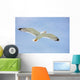 Seagull Flight