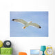 Seagull Flight