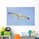 Seagull Flight