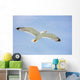 Seagull Flight