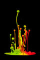 Colored splashes isolated on black background Wall Mural