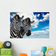 Zebra Pair