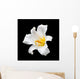 White flower Wall Mural